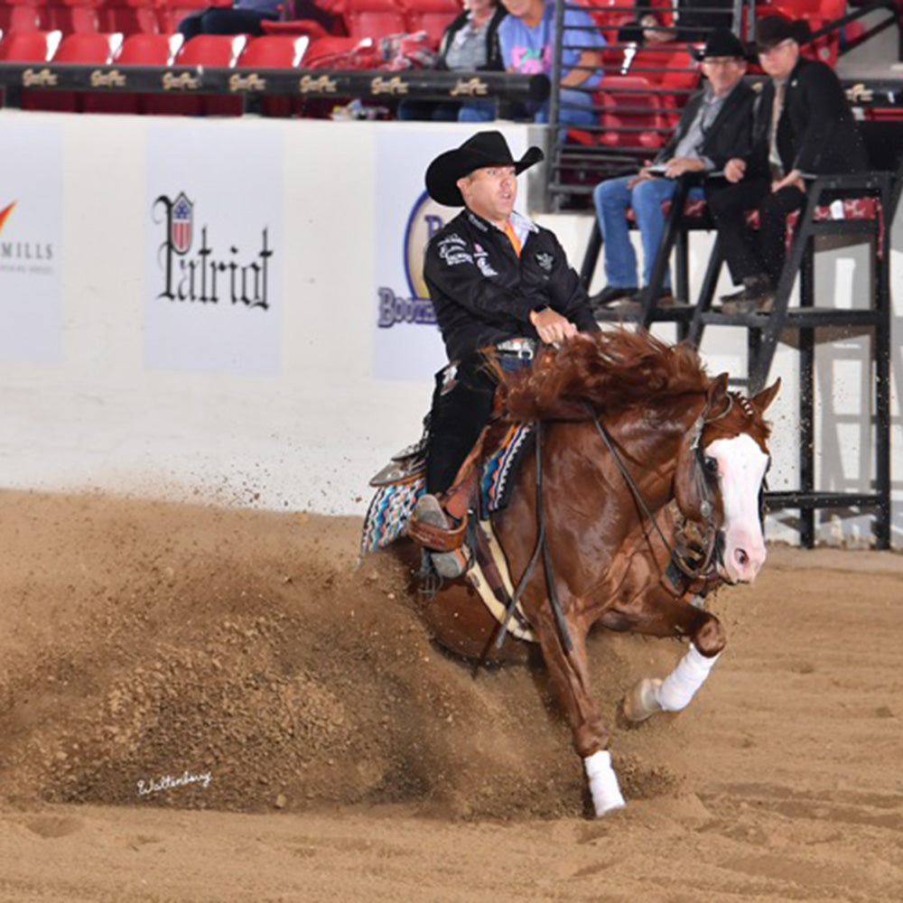 Matt Palmer, Palmer Performance Horses, reining horse trainer performing sliding stop