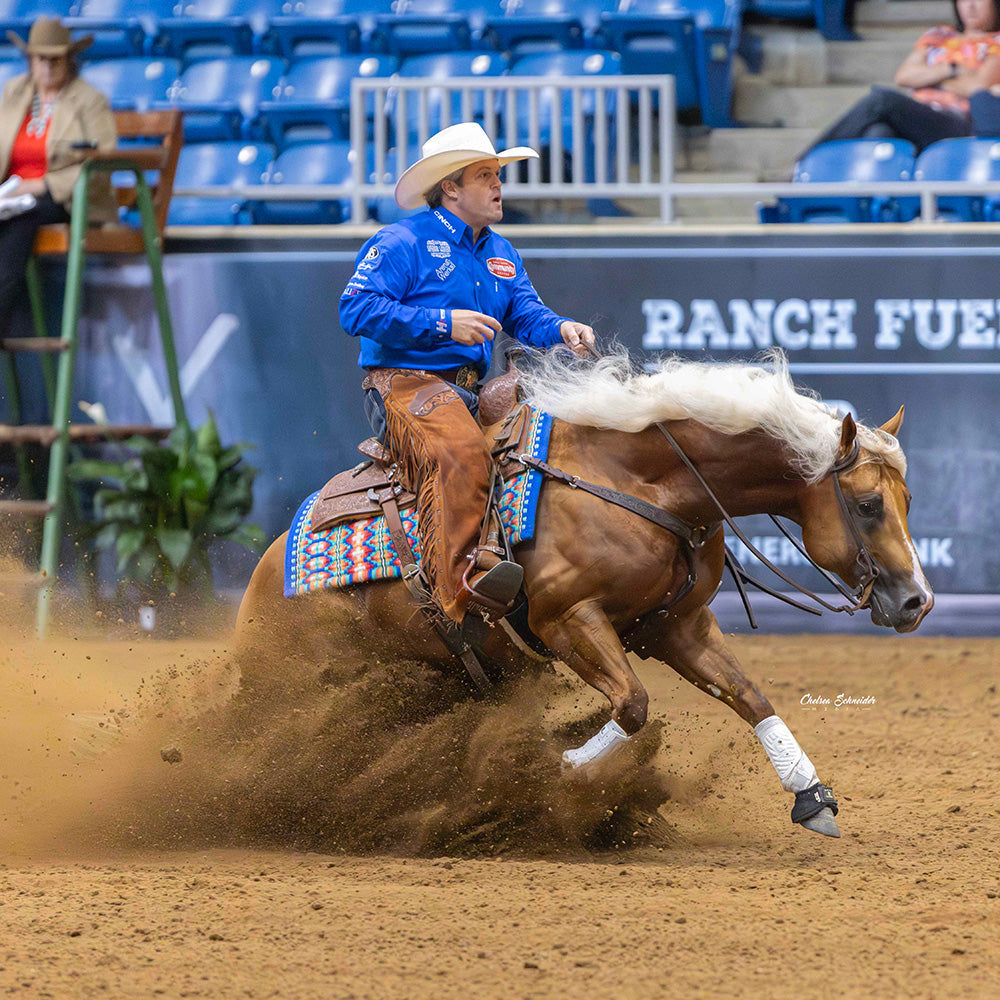casey deary on reining horse stallion, reining horse trainer, nrha champion