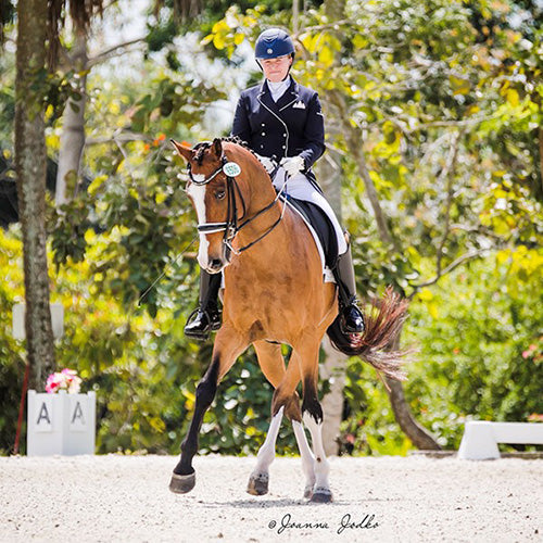 Lauren Sprieser of Sprieser Sporthorses showing dressage