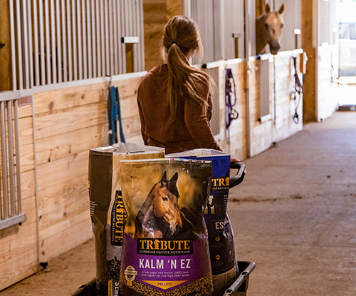 A Look at the Rising Costs of Horse Feed