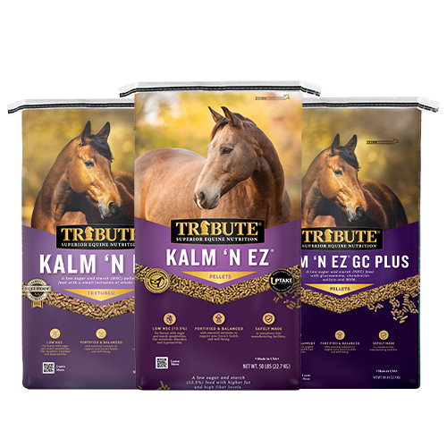 Kalm 'N EZ® Low NSC Horse Feeds Tribute Equine Nutrition