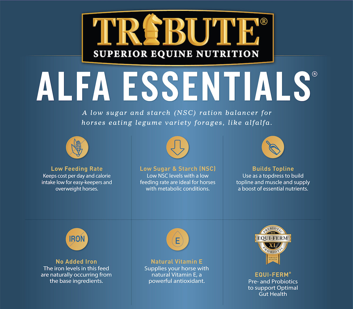 Alfa Essentials®, Pelleted, Low NSC Ration Balancer for Alfalfa Diets