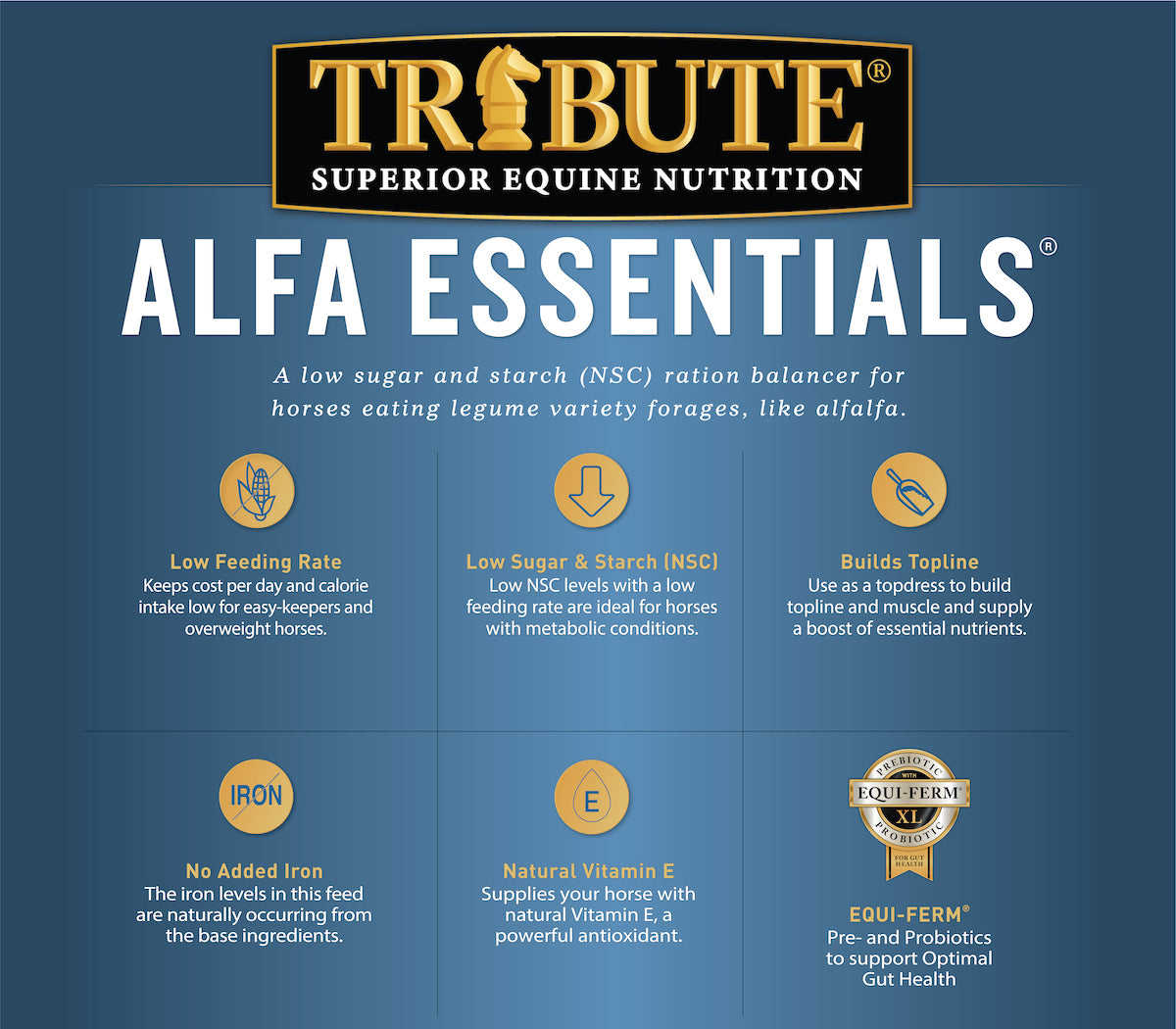 Alfa Essentials Key Points