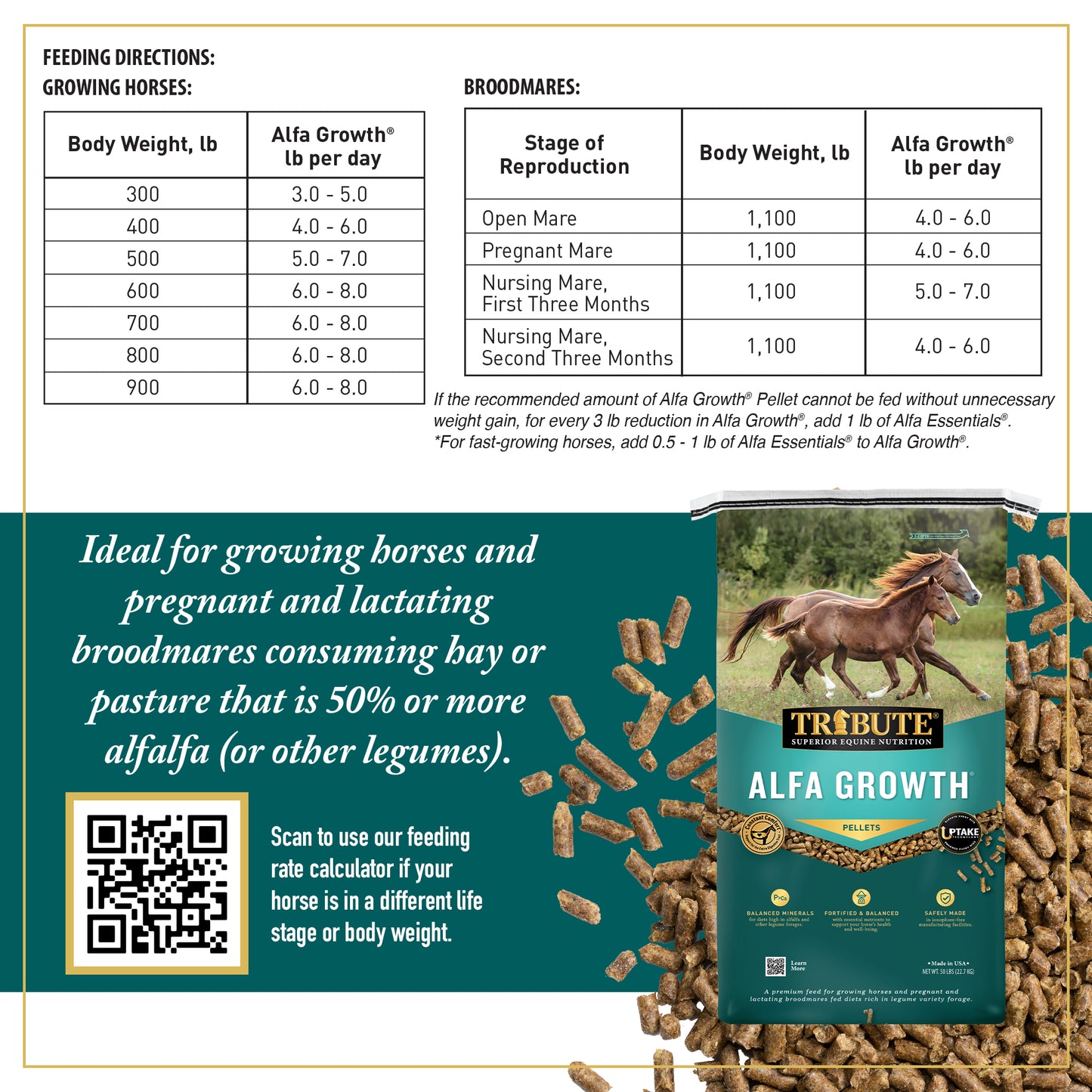 Alfa Growth®, Pelleted Feed for Mares & Foals on Alfalfa Diets