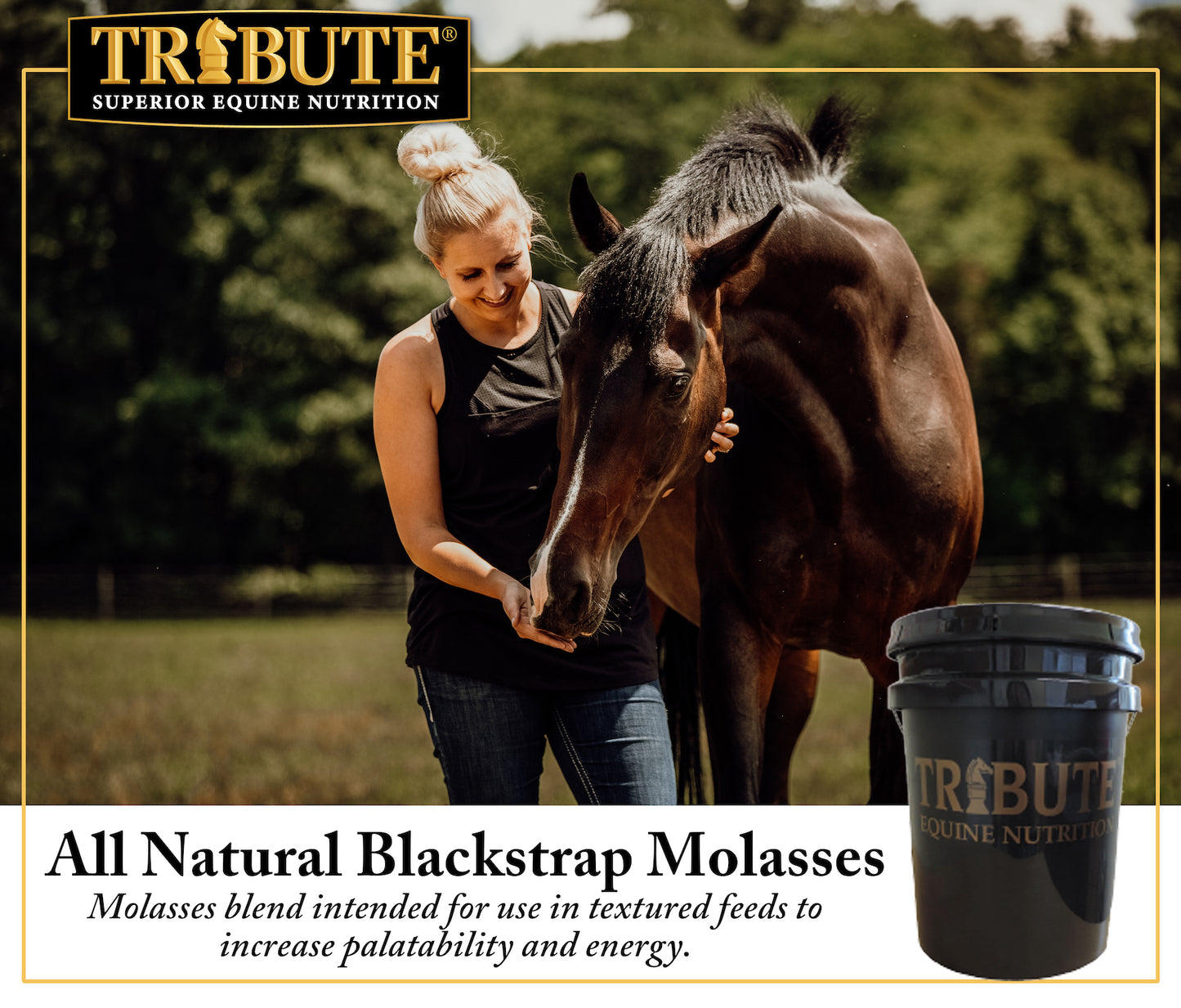 All Natural Backstrap Molasses