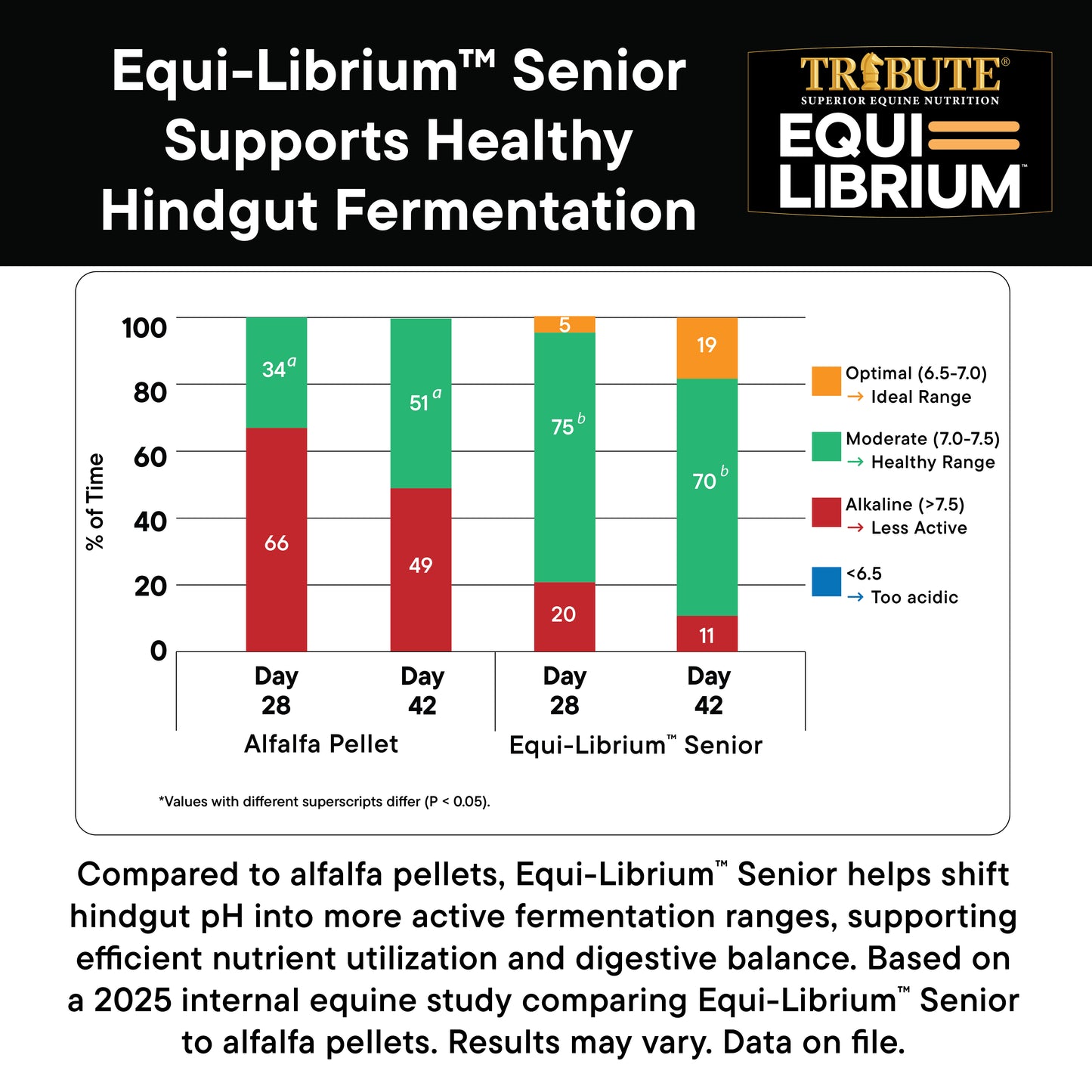 Equi-Librium™ Senior