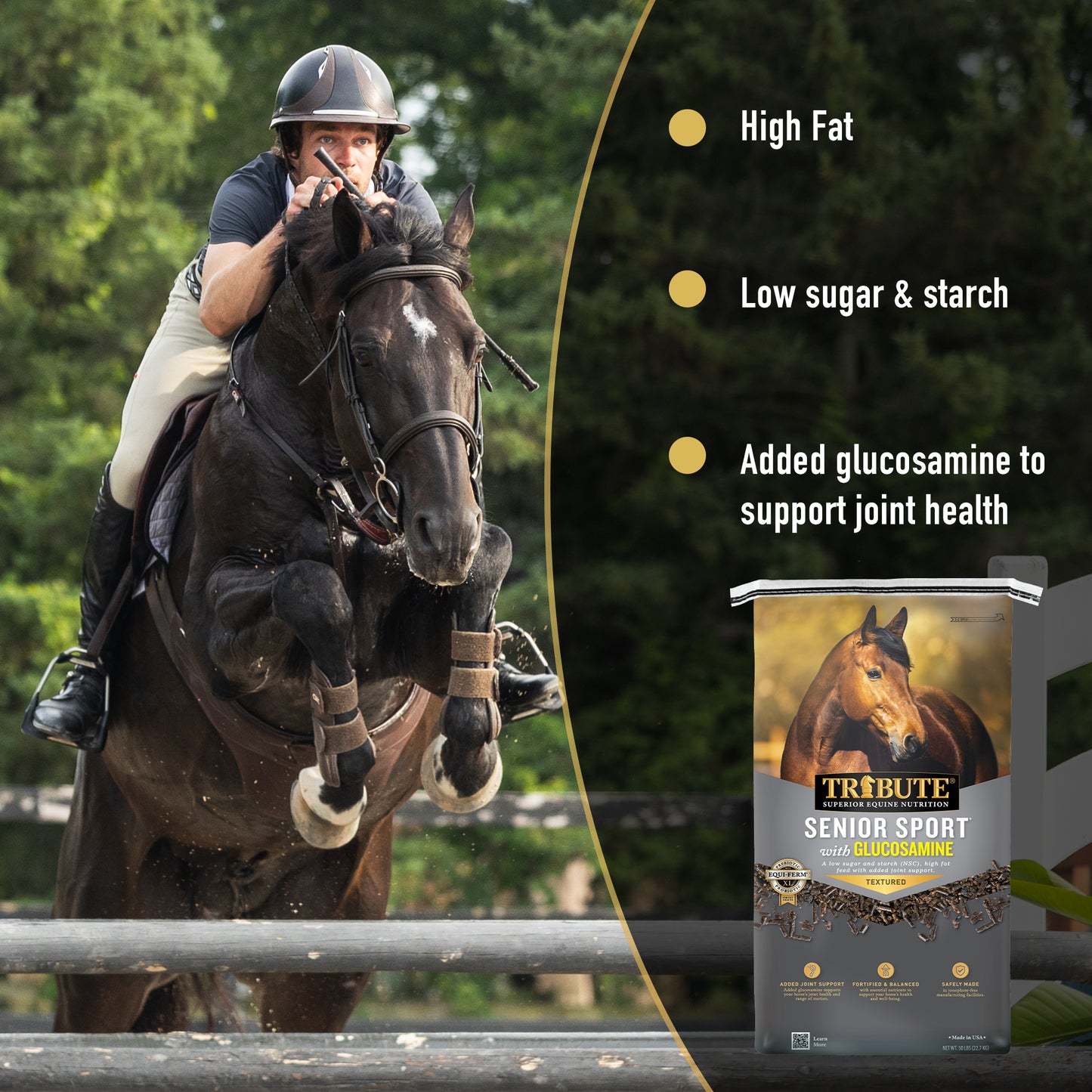 Senior Sport® with Glucosamine, Textured High Fat Horse Feed