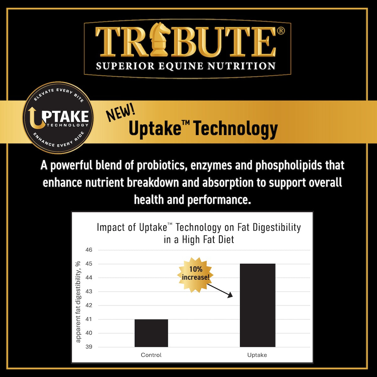 Synergize®, Low NSC, High Fat Pelleted Horse Feed