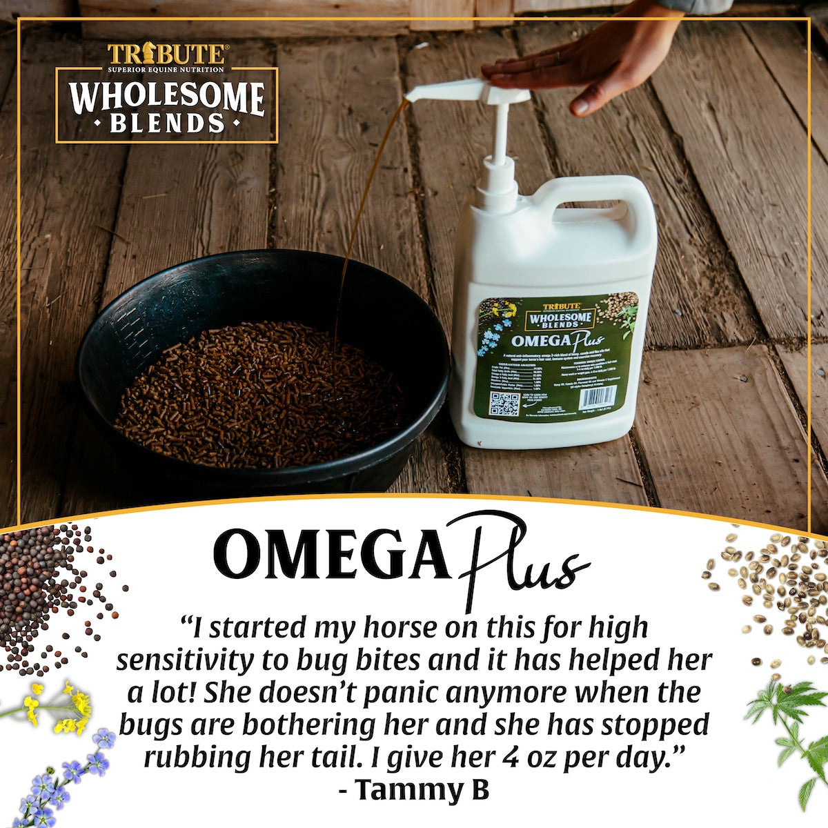 Wholesome Blends® Omega Plus, Omega 3 Oil Supplement