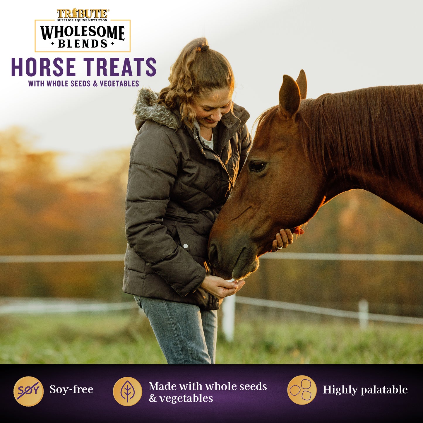 Wholesome Blends® Horse Treats