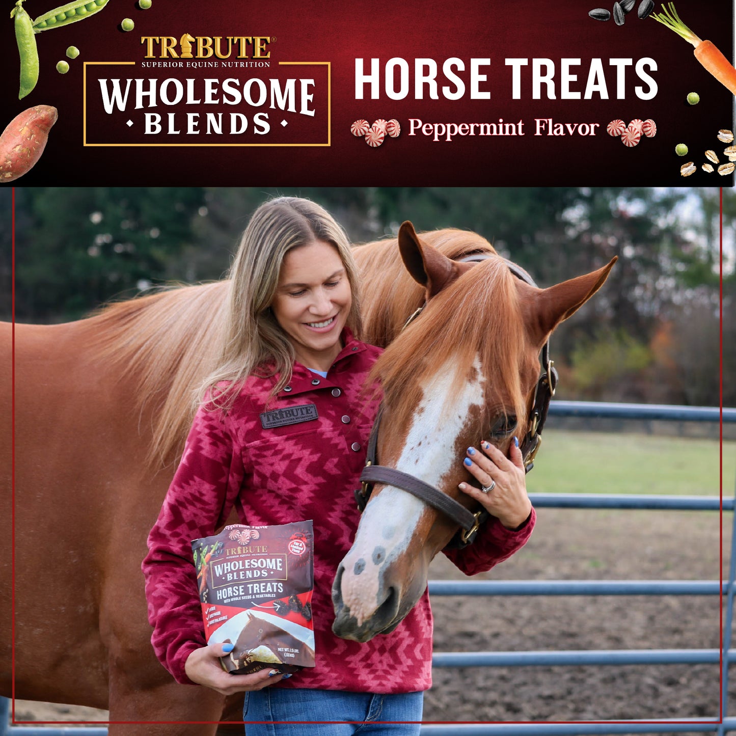 Peppermint Wholesome Blends® Horse Treats
