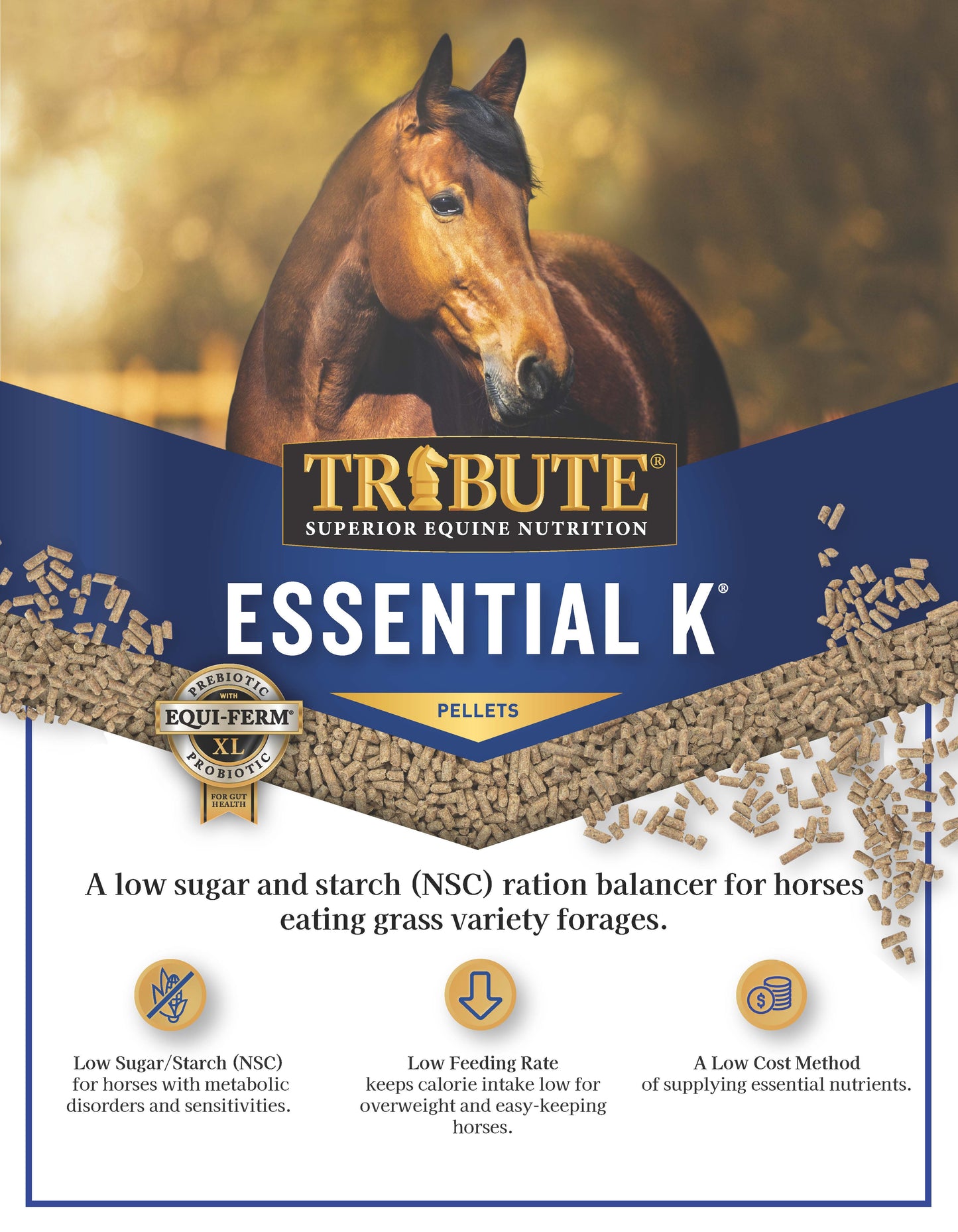 Essential K®, Pelleted, Low NSC Ration Balancer