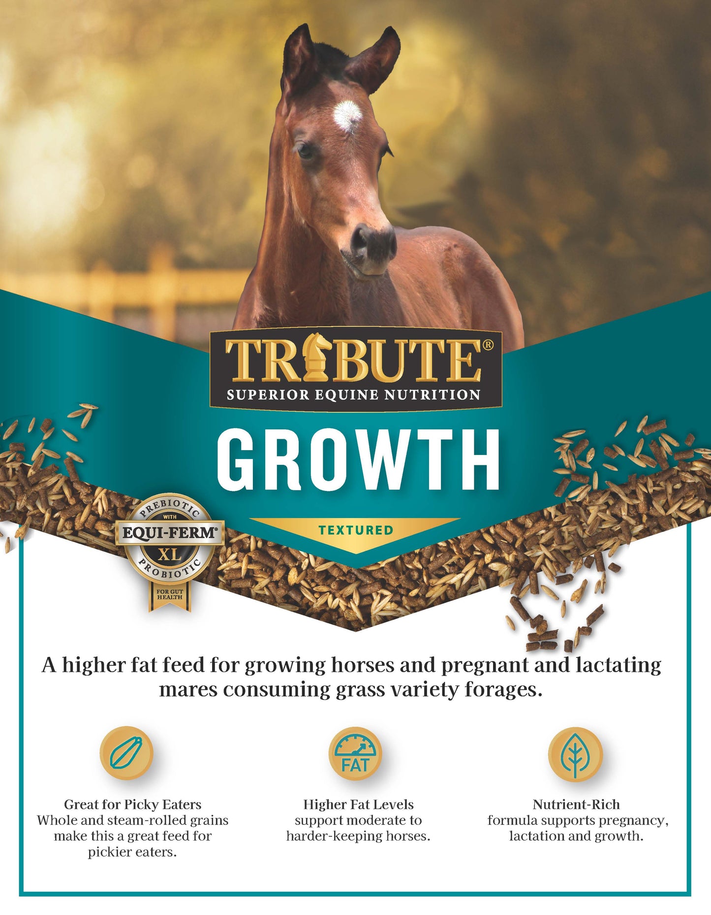 Growth Textured, Mare & Foal Feed