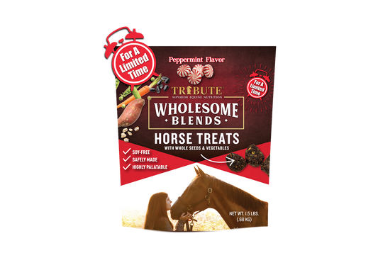 Peppermint Wholesome Blends® Horse Treats