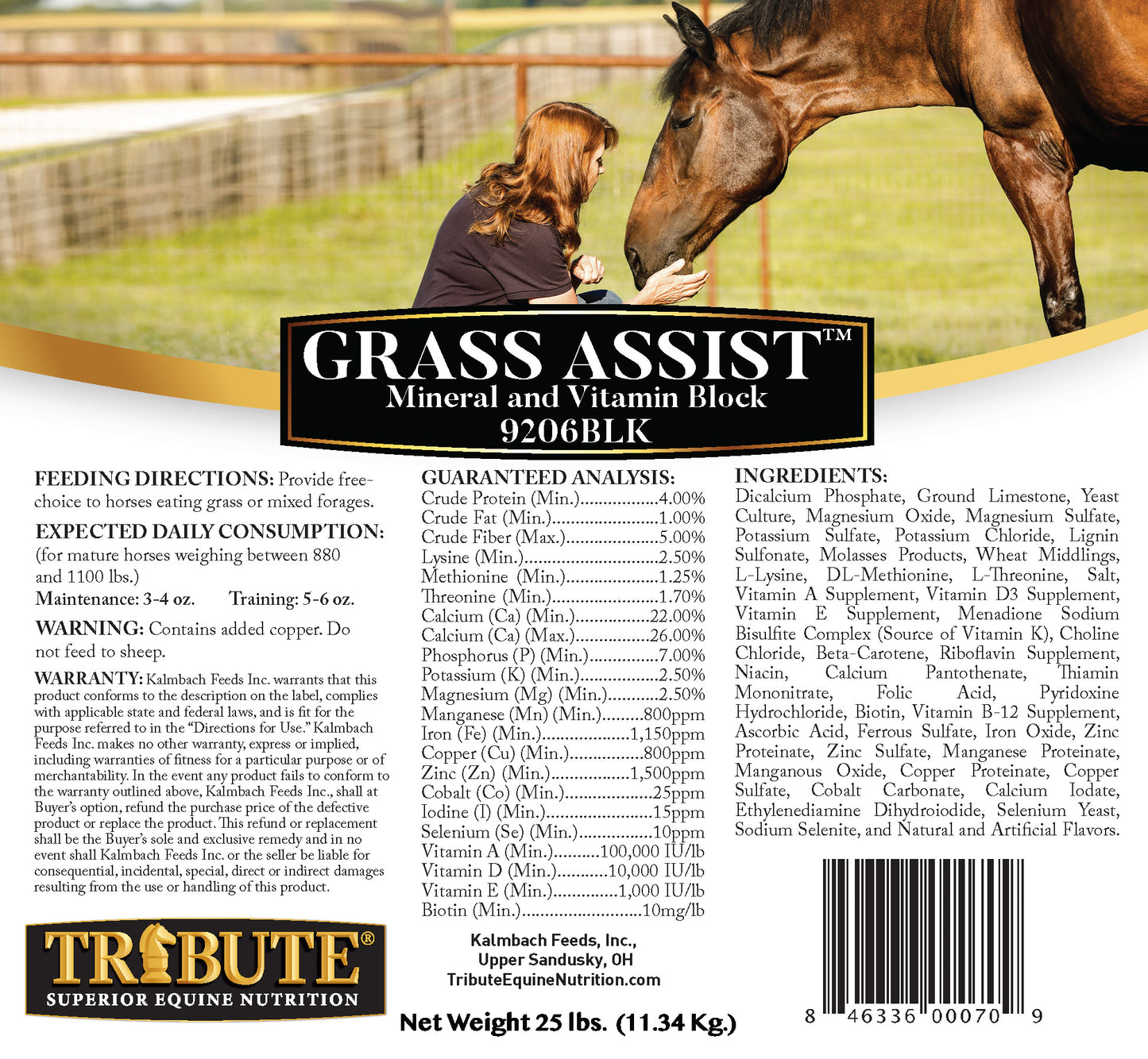 Grass Assist™, Vitamin & Mineral Block