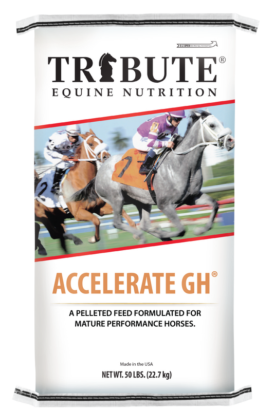 Accelerate GH® (Canada), Pelleted Feed for Race Horses