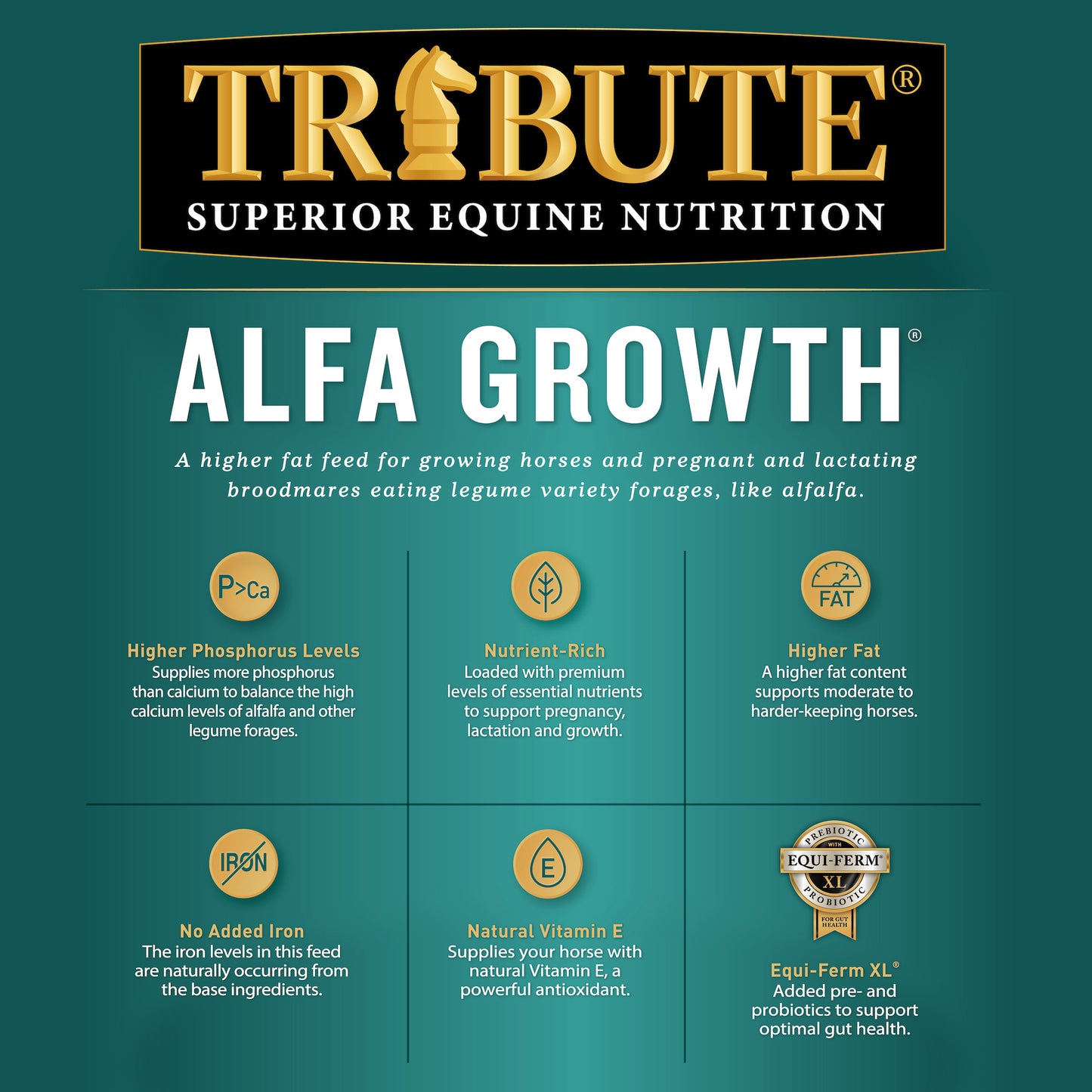 Alfa Growth®, Textured Feed for Mares & Foals on Alfalfa Diets