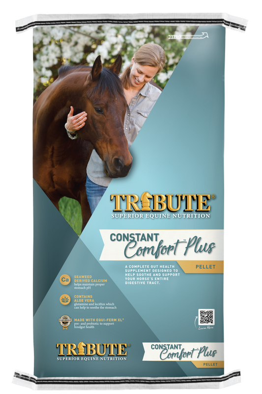 Constant Comfort® Plus, Total Gut Health Supplement