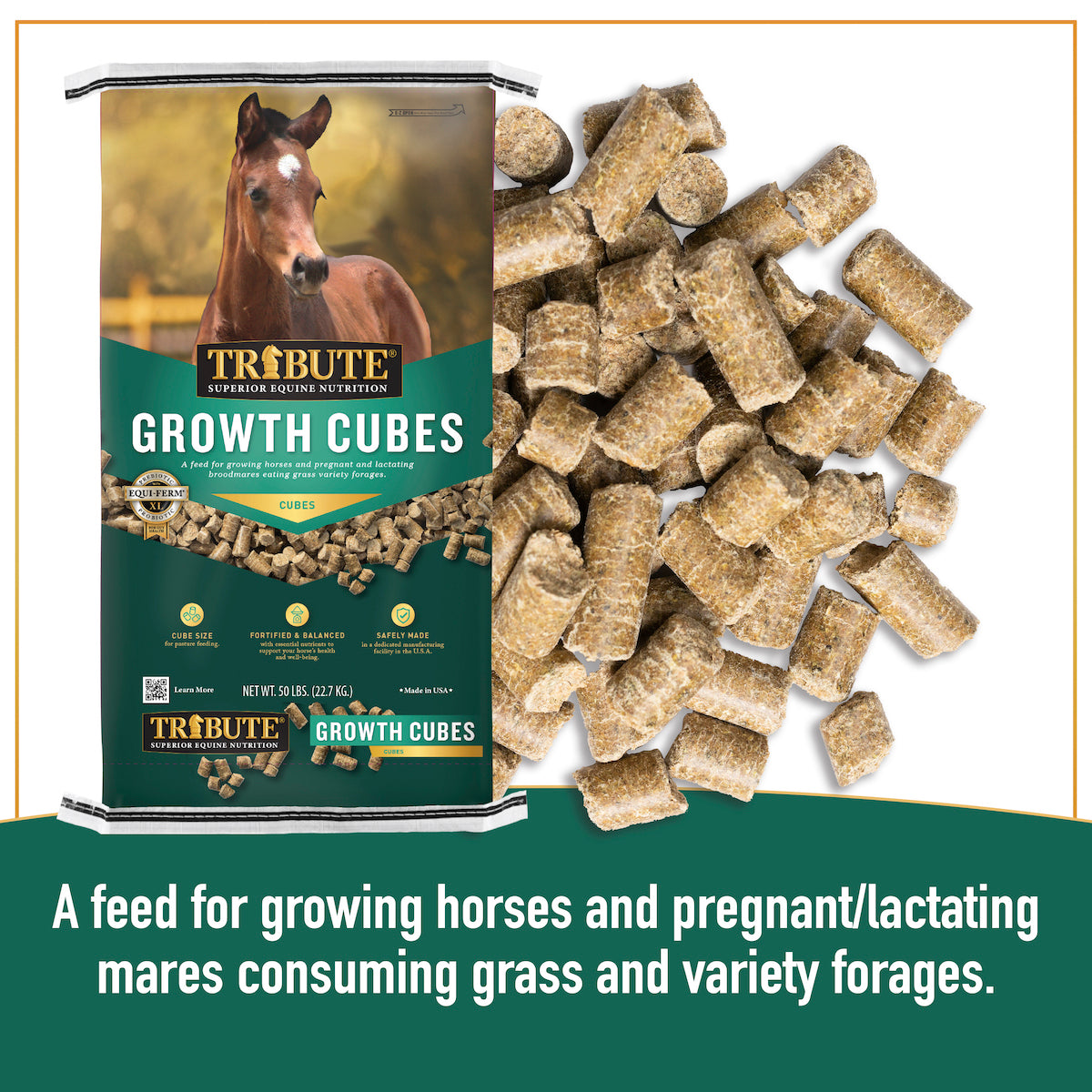 Growth Cubes, Mare & Foal Feed