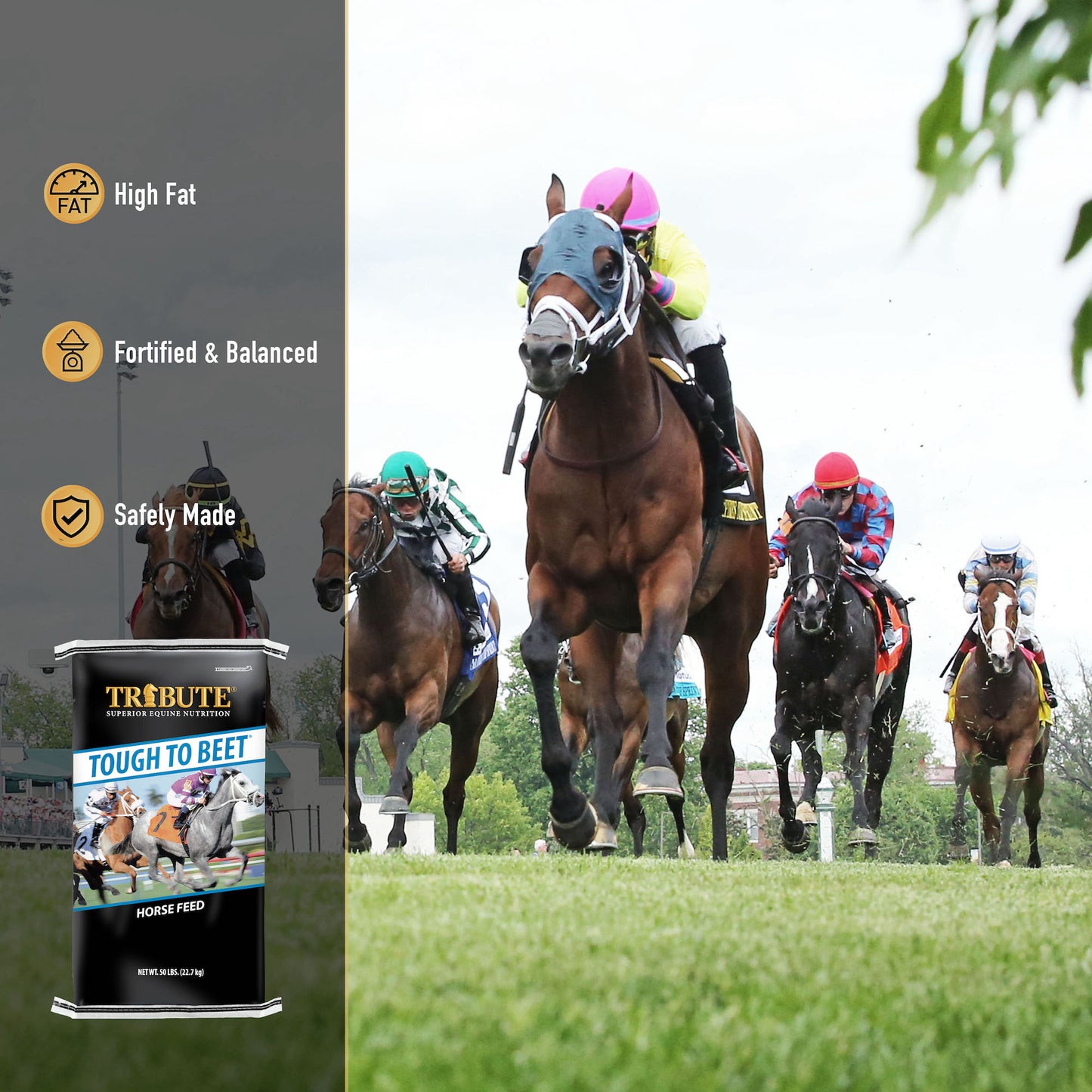 Tough To Beet® Horse Feed, Textured Feed for Race Horses