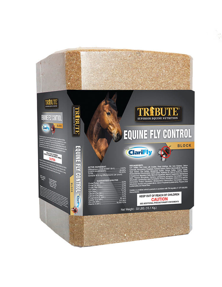 Tribute Equine Nutrition Equine Fly Control Block Horse Supplement, 33-lb Block