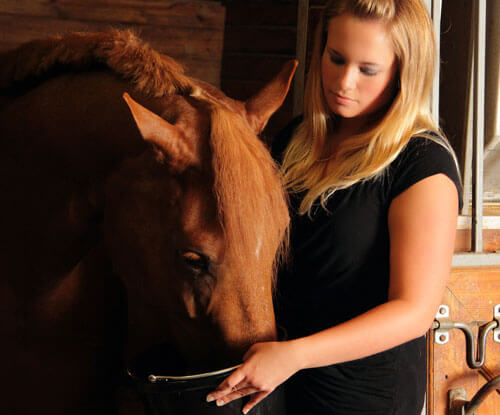 Food Allergies in Horses: Diagnosis, Management & Nutrition Strategies