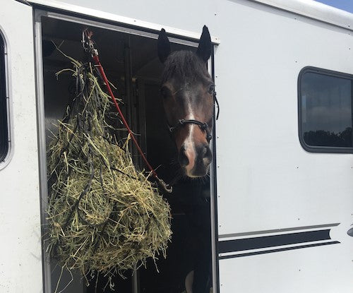 How to Prevent Horse Colic While Traveling: 7 Top Tips