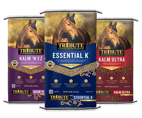 Horse Calorie Requirements and Comparing Calories on Horse Feed Nutrition Labels