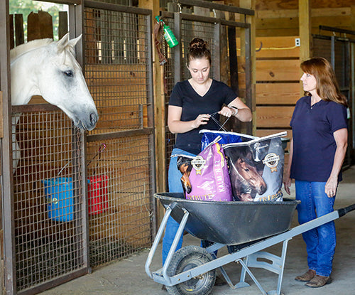 Are You Feeding Your Horse at the Right Times?