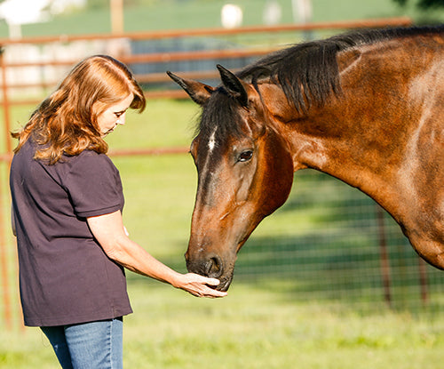 Building a Horse's Topline with Proper Nutrition and Protein