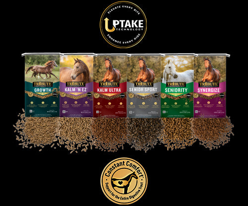Introducing Uptake Technology®: Helping Your Horse Get More from Every Bite