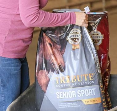 What Is a Complete Feed and Does Your Horse Need One?