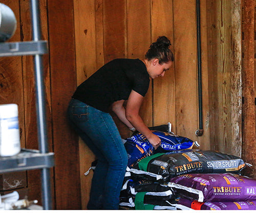 woman stacking horse feed