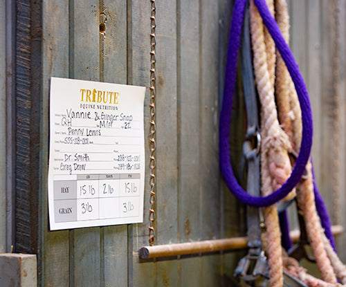 How to Create an Emergency Feeding Plan for Horses: A Complete Guide for Owners