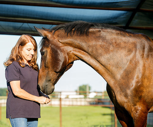 Fixed Formula Horse Feed: Why Consistency Matters for Your Horse’s Nutrition