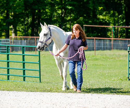 Forage Alternatives During Hay Shortages