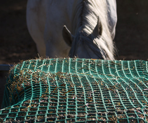 Hay Nets for Horses: Benefits, Risks and Safe Feeding Tips
