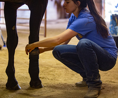 Joint health support for a horse