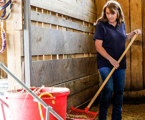 How to Compost Horse Manure: A Step-by-Step Management Guide