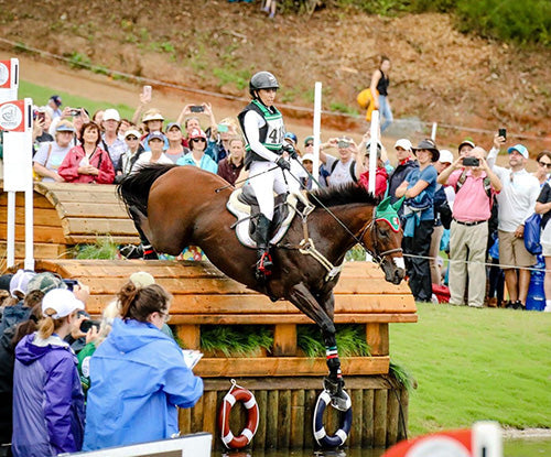 Feeding the Equine Athlete: Nutrition for Performance Horses