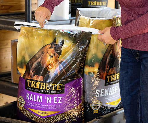 How to Choose the Right Feed for Your Horse