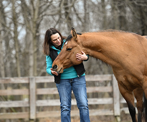 Essential Oils for Horses