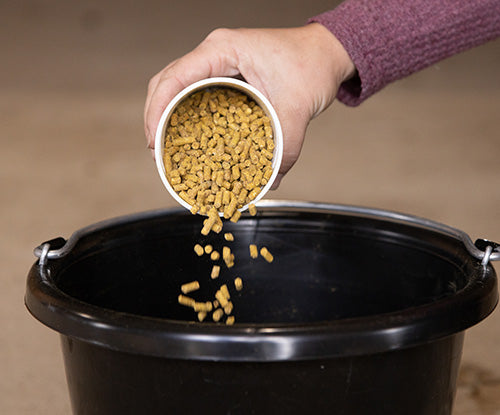 essential k rebuild ration balancer for horses with chromium and turmeric