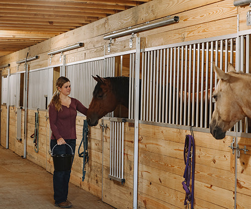 Low NSC Horse Feed: Does Your Horse Really Need It?