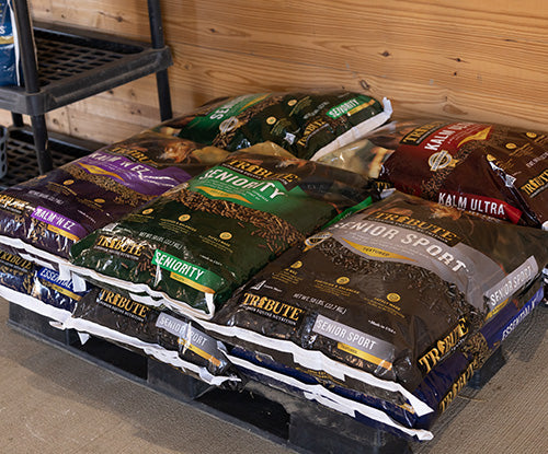 The Importance of Proper Horse Feed & Hay Storage