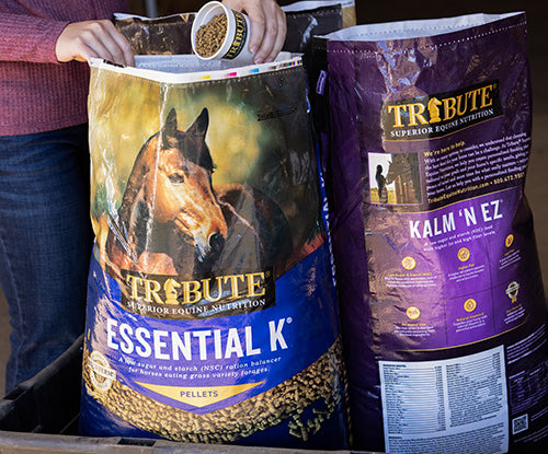 woman scooping essential k tribute horse feed