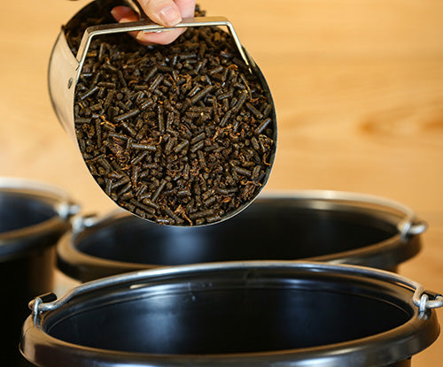 tribute equine nutrition senior sport horse feed in horse feed scoop