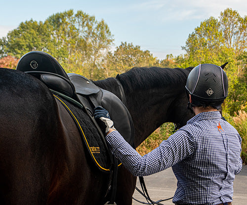 When You Should Feed Performance Horses