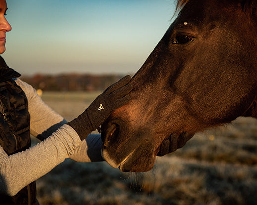 The History of Equine Nutrition