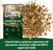 Seniority® GC Plus Horse Feed, Textured, Hay Replacement Feed with Joint Support